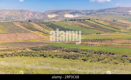 Landwirtschaftliche Landschaft in der Nähe von Menfi, Provinz Agrigento, Sizilien, Italien. Stockfoto