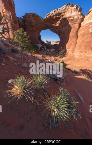 Wandern auf dem Broken Arch Trail im Arches-Nationalpark in utah, usa Stockfoto