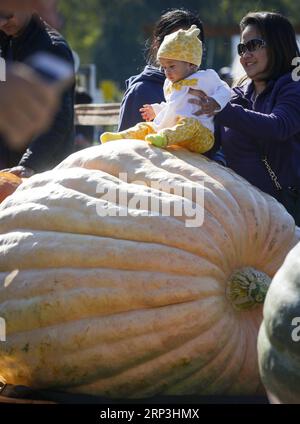 (181007) -- LANGLEY, 7. Oktober 2018 -- Ein Baby sitzt auf einem riesigen Kürbis während des Giant Pumpkin Wiegen-Off-Events in Langley, Kanada, 6. Oktober 2018. ) (wtc) CANADA-LANGLEY-RIESEN-KÜRBIS-WIEGEEREIGNIS LiangxSen PUBLICATIONxNOTxINxCHN Stockfoto