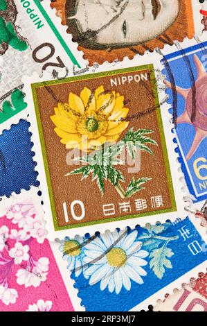 Madrid, Spanien; 13.08.2023: Briefmarke aus Japan mit einer adonis-Blume, adonis amurensis, um 1982 mit weiteren Briefmarken, die einen Hintergrund bilden Stockfoto