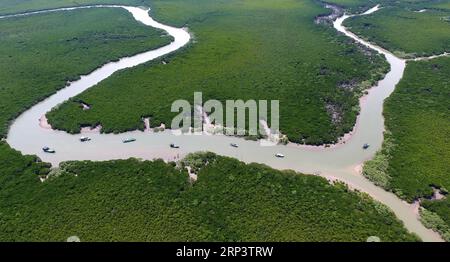 (181016) -- PEKING, 16. Oktober 2018 -- Luftaufnahme vom 24. Juli 2018 zeigt das Dongzhaigang National Nature Reserve in Jiangdong New Area in Haikou, Provinz Hainan in Südchina. ) (lmm) Xinhua-Schlagzeilen: Hainan FTZ soll neue Wege in Chinas Öffnung GuoxCheng PUBLICATIONxNOTxINxCHN beschreiten Stockfoto