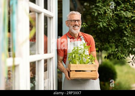 Porträt eines hübschen, Reifen männlichen Gärtners, der Pflanzen in der Kiste vor dem Gewächshaus trägt Stockfoto