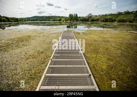Stuttgart, Deutschland. September 2023. Wasserpflanzen vermehren sich im Sonnenschein des Lake Max Eyth. Der ansonsten saubere See ist ungewöhnlich bewachsen. High Olenka sorgt in der kommenden Woche für schönes und trockenes Spätsommerwetter in Deutschland. „Die Sonne scheint von früh bis spät weit verbreitet mit höchstens harmlosen Schleierwolken“, sagte Meteorologe Tobias Reinartz vom Deutschen Wetterdienst in Offenbach am Sonntag voraus. Mit einem Vorbehalt: "Nachts kann sich Nebel vor Ort bilden, aber er wird am Morgen von der Sonne schnell 'erhitzt'." Quelle: Christoph Schmidt/dpa/Alamy Live News Stockfoto