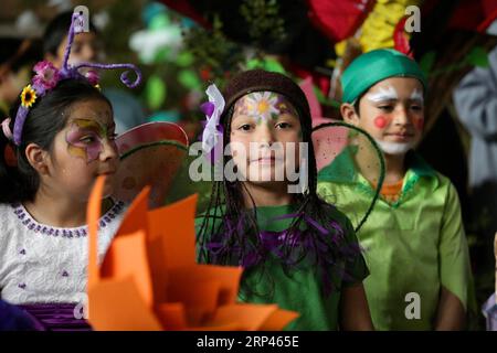 (181028) -- LOS RIOS, 28. Oktober 2018 -- Kinder, die als Elfen gekleidet sind, nehmen am 8. Huilo Huilo Forest Festival in Neltume, Dorf Panguipulli, Region Los Rios, Chile, am 27. Oktober 2018 Teil. Das jährlich stattfindende Huilo Huilo Forest Festival wurde 2011 im Huilo Huilo Biological Reserve abgehalten, um das kommende Frühjahr zu feiern und das Bewusstsein für den Schutz des Waldes zu schärfen. (Zhf) CHILE-LOS RIOS-HUILO HUILO WALDFESTIVAL WangxPei PUBLICATIONxNOTxINxCHN Stockfoto