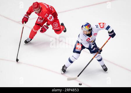 Trinec, Tschechische Republik. September 2023. L-R Vladimir Dravecky (Trinec) und Jakob Weber (München) in der Champions Hockey League, Runde 2, treffen HC Ocelari Trinec gegen EHC Red Bull Munchen (München) am 3. September 2023 in Trinec, Tschechische Republik. Quelle: Vladimir Prycek/CTK Photo/Alamy Live News Stockfoto