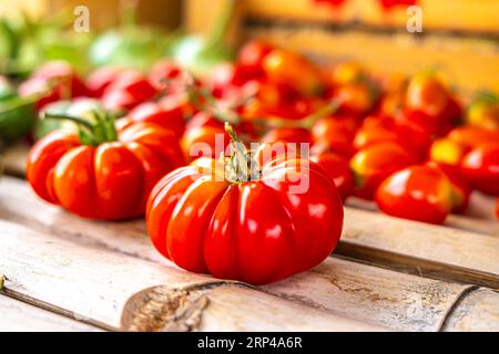 Nahaufnahme einer großen leuchtenden roten gerippten Erbtomate auf einer Holzoberfläche mit verschwommenem Hintergrund aus Kirschtomaten Stockfoto