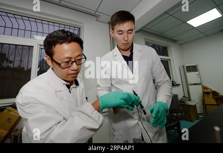 (181103) -- XI AN, 3. November 2018 -- Marat MURATCHAN (R) aus Kasachstan und ein weiterer Doktorand Wang Tao machen ein Experiment im Labor an der Northwest Agriculture and Forestry University in Yangling, Provinz Shaanxi im Nordwesten Chinas, 5. September 2018. ) (Ry) Xinhua-Schlagzeilen: Saatgut der Zusammenarbeit im Rahmen der Initiative „Gürtel und Straße“ LixYibo PUBLICATIONxNOTxINxCHN Stockfoto