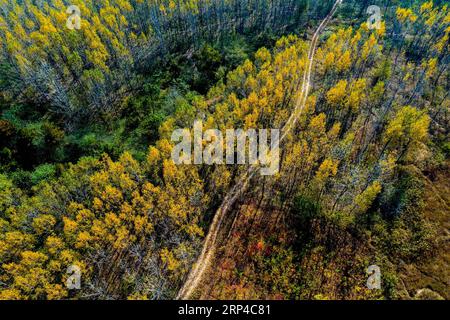 (181104) -- PEKING, 4. November 2018 -- Luftaufnahme vom 3. November 2018 zeigt die Herbstlandschaft in der Stadt Sanshigang in Hefei, der Hauptstadt der ostchinesischen Provinz Anhui. ) (wyo) CHINA-ANHUI-HERBSTANSICHTEN (CN) WangxWen PUBLICATIONxNOTxINxCHN Stockfoto