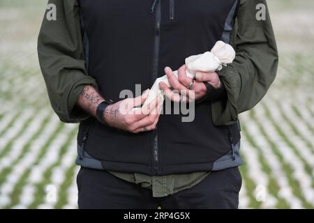 (181107) -- LONDON, 7. November 2018 -- der Künstler Rob hörte am 7. November 2018 mit seiner Installation Shrouds of the Somme im Queen Elizabeth Olympic Park in London, Großbritannien, für Fotos posieren. Shrouds of the Somme ist eine Kunstinstallation, die 72.396 Soldaten des britischen Commonwealth darstellt, die in der Schlacht an der Somme getötet wurden und die kein Grab haben, das 100 Jahre seit dem Ende des Ersten Weltkriegs begraben werden kann. BRITANNIEN-LONDON-INSTALLATIONSHÜLLEN DER SOMME RAYXTANG PUBLICATIONXNOTXINXCHN Stockfoto