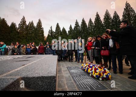(181111) -- PARIS, 11. November 2018 -- Menschen nehmen an einer Zeremonie zum 100. Jahrestag des Endes des Ersten Weltkriegs Teil, in der Nähe der Stadt Compiegne, Frankreich, 10. November 2018. Der französische Präsident Emmanuel Macron und die deutsche Bundeskanzlerin Angela Merkel schlossen sich am Samstag bei einer feierlichen gemeinsamen Zeremonie an einer historischen Stätte in einem Gelübde des Friedens und der Einheit die Hände. (lrz) FRANKREICH-COMPIEGNE-DEUTSCHLAND-WWI-100 Jahre ZhengxHuansong PUBLICATIONxNOTxINxCHN Stockfoto