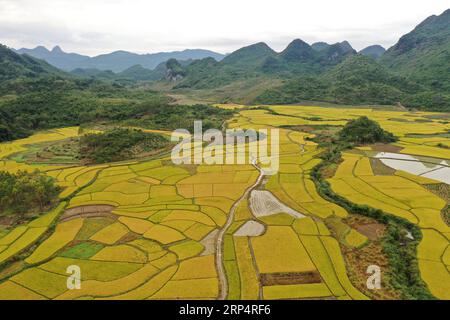 (181116) -- RONG AN, 16. November 2018 -- Luftaufnahme vom 16. November 2018 zeigt die Landschaft der Reisfelder in der Stadt Daliang im Kreis Rong an, südchinesische autonome Region Guangxi Zhuang. ) (Sxk) CHINA-GUANGXI-REIS-LANDSCHAFT (CN) ZhouxHua PUBLICATIONxNOTxINxCHN Stockfoto