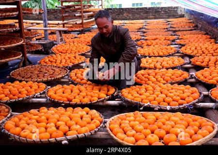 (181119) -- GUILIN, 19. November 2018 -- Villager Zhu Guiming, Ehemann von Peng Meiying, verbreitet persimmonische Früchte im Dorf Zhujiatun im Kreis Pingle, südchinesische autonome Region Guangxi Zhuang, 17. November 2018. Die Ernte von 40.000-kg-Persimonobst wird voraussichtlich in diesem Jahr ein Einkommen von über 30.000 Yuan (4.321 US-Dollar) für Pengs Familie schaffen. ) (Ry) CHINA-GUANGXI-PINGLE-PERSIMMON HARVEST (CN) WangxZichuang PUBLICATIONxNOTxINxCHN Stockfoto