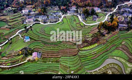 (181120) -- NINGQIANG, 20. Nov. 2018 -- Luftaufnahme vom 19. Nov. 2018 zeigt die Landschaft von Terrassenfeldern im Dorf Shibazi im Ningqiang County, Provinz Shaanxi im Nordwesten Chinas, 19. Nov. 2018. ) (Ry) CHINA-SHAANXI-NINGQIANG-RURAL SCENERY (CN) TaoxMing PUBLICATIONxNOTxINxCHN Stockfoto