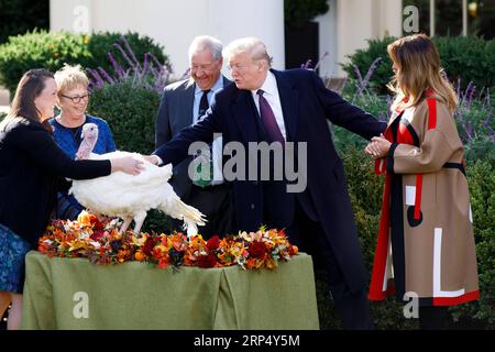 (181120) -- WASHINGTON, 20. November 2018 -- US-Präsident Donald Trump (2. R) nimmt an der National Thanksgiving Turkey Pardoning Ceremony im Rose Garden of the White House in Washington D.C., USA, am 20. November 2018 Teil. ) U.S.-WASHINGTON D.C.-TRUMP-THANKSGIVING TÜRKEI BEGNADUNGSZEREMONIE TINGXSHEN PUBLICATIONXNOTXINXCHN Stockfoto