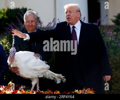 (181120) -- WASHINGTON, 20. November 2018 -- US-Präsident Donald Trump (R) nimmt an der National Thanksgiving Turkey Pardoning Ceremony im Rose Garden of the White House in Washington D.C., USA, am 20. November 2018 Teil. ) U.S.-WASHINGTON D.C.-TRUMP-THANKSGIVING TÜRKEI BEGNADUNGSZEREMONIE TINGXSHEN PUBLICATIONXNOTXINXCHN Stockfoto