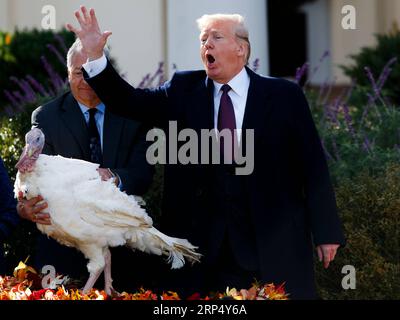 (181120) -- WASHINGTON, 20. November 2018 -- US-Präsident Donald Trump (R) nimmt an der National Thanksgiving Turkey Pardoning Ceremony im Rose Garden of the White House in Washington D.C., USA, am 20. November 2018 Teil. ) U.S.-WASHINGTON D.C.-TRUMP-THANKSGIVING TÜRKEI BEGNADUNGSZEREMONIE TINGXSHEN PUBLICATIONXNOTXINXCHN Stockfoto