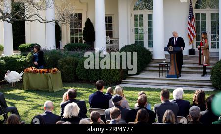 (181120) -- WASHINGTON, 20. November 2018 -- US-Präsident Donald Trump (2. R, hinten) spricht während der National Thanksgiving Turkey Pardoning Ceremony im Rose Garden of the White House in Washington D.C., USA, am 20. November 2018. ) U.S.-WASHINGTON D.C.-TRUMP-THANKSGIVING TÜRKEI BEGNADUNGSZEREMONIE TINGXSHEN PUBLICATIONXNOTXINXCHN Stockfoto