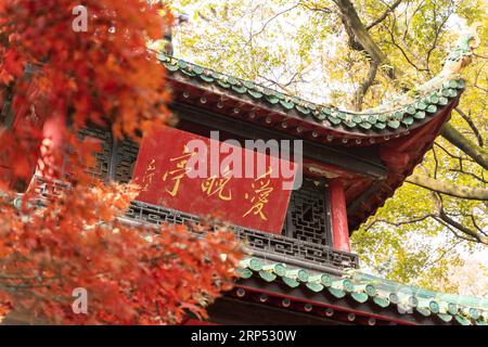 (181125) -- CHANGSHA, 25. November 2018 -- Foto aufgenommen am 25. November 2018 zeigt den Aiwan-Pavillon des Yuelu-Berges in Changsha, der zentralchinesischen Provinz Hunan. )(wsw) CHINA-HUNAN-CHANGSHA-HERBSTLANDSCHAFT (CN) ZhangxXiaoyu PUBLICATIONxNOTxINxCHN Stockfoto