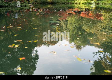 (181125) -- CHANGSHA, 25. November 2018 -- Foto aufgenommen am 25. November 2018 zeigt die Herbstlandschaft des Yuelu Berges in Changsha, der zentralchinesischen Provinz Hunan. )(wsw) CHINA-HUNAN-CHANGSHA-HERBSTLANDSCHAFT (CN) ZhangxXiaoyu PUBLICATIONxNOTxINxCHN Stockfoto