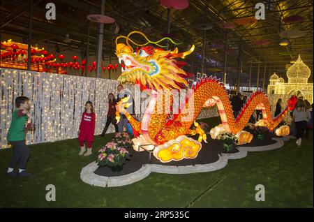 (181125) -- TORONTO, 25. November 2018 -- Besucher sehen eine drachenförmige Laterne am ersten Tag des Weihnachtsglühens 2018 in Barrie, Ontario, Kanada, 24. November 2018. Beleuchtete Skulpturen aus China, Frankreich, Holland, Indien, Mexiko, das größte familienorientierte Weihnachtsfest in Ontario, Großbritannien und Kanada, begann am Samstag. Das Festival dauert bis zum 6. Januar nächsten Jahres. ) CANADA-ONTARIO-BARRIE-CHRISTMAS GLOW ZouxZheng PUBLICATIONxNOTxINxCHN Stockfoto