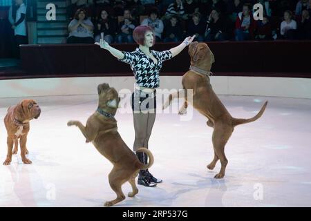 (181125) -- BUDAPEST, 25. November 2018 -- Tatjana Pelekh aus der Ukraine tritt mit ihren Hunden während der Weihnachtszirkus-Show Sparkling Sprites in Budapest, Ungarn, am 24. November 2018 auf. ) UNGARN-BUDAPEST-WEIHNACHTSZIRKUS AttilaxVolgyi PUBLICATIONxNOTxINxCHN Stockfoto