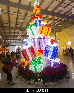 (181125) -- TORONTO, 25. November 2018 -- Besucher sehen bunte Lichter am ersten Tag des Weihnachtsglühens 2018 in Barrie, Ontario, Kanada, 24. November 2018. Beleuchtete Skulpturen aus China, Frankreich, Holland, Indien, Mexiko, das größte familienorientierte Weihnachtsfest in Ontario, Großbritannien und Kanada, begann am Samstag. Das Festival dauert bis zum 6. Januar nächsten Jahres. ) CANADA-ONTARIO-BARRIE-CHRISTMAS GLOW ZouxZheng PUBLICATIONxNOTxINxCHN Stockfoto