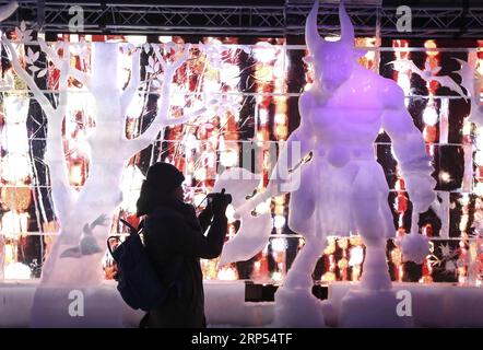 (181127) -- BRÜSSEL, 27. November 2018 -- Ein Tourist genießt Eisskulpturen beim Brügger Eisskulpturenfest in Brügge, Belgien, 27. November 2018. Das Eisskulpturenfest mit 80 Eisskulpturen von 40 Eisschnitzern wird bis zum 6. Januar 2019 dauern. ) (Zxj) BELGIEN-BRÜGGE-ICE-SKULPTUR YexPingfan PUBLICATIONxNOTxINxCHN Stockfoto