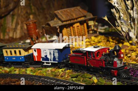 (181128) -- NEW YORK, 28. November 2018 -- Ein Modellzug fährt während der Holiday Train Show im New York Botanical Garden in New York, USA, 27. November 2018. Die Holiday Train Show ist vom 17. November 2018 bis zum 21. Januar 2019 für die Öffentlichkeit zugänglich und zeigt großformatige Modelleisenbahnen, die in einem Miniaturmodell von New York City fahren, wo mehr als 175 ikonische Gebäude und Strukturen im Maßstab mit Rinde, Blättern und anderen natürlichen Materialien nachgebaut werden. ) (yy U.S.-NEW YORK-HOLIDAY TRAIN SHOW LixRui PUBLICATIONxNOTxINxCHN Stockfoto