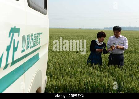 (181129) -- PEKING, 29. November 2018 (Xinhua) -- Ein Arbeiter erteilt einem Bauern technische Anweisungen auf einem Weizenfeld im Xunxian County, zentralchinesische Provinz Henan, 18. Mai 2016. (Xinhua/Zhu Xiang) Xinhua-Schlagzeilen: Big-Data-Umgestaltung der Ernte für chinesische Landwirte PUBLICATIONxNOTxINxCHN Stockfoto