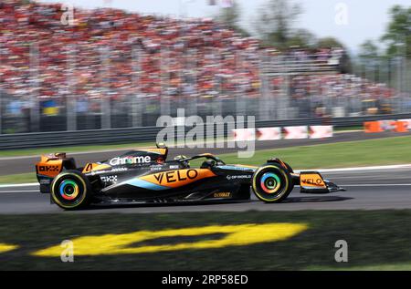 Monza, Italien. September 2023. Lando Norris von McLaren während des F1 Grand Prix von Italien im Autodromo Nazionale am 3. September 2023 in Monza, Italien. Dank: Marco Canoniero/Alamy Live News Stockfoto