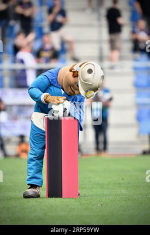 Genk, Belgien. September 2023. Genks Maskottchen Genkie, dargestellt vor einem Fußballspiel zwischen KRC Genk und RSCA Anderlecht, Sonntag, 03. September 2023 in Genk, am Tag 06 der Saison 2023-2024 der „Jupiler Pro League“, der ersten Liga der belgischen Meisterschaft. BELGA PHOTO JOHAN EYCKENS Credit: Belga News Agency/Alamy Live News Stockfoto