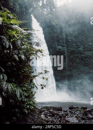 Wasserfall mit starkem Fluss in Bali, Indonesien. Tropische Natur und Nungnung Wasserfall Stockfoto