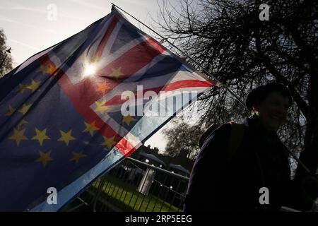 (181211) -- LONDON, 11. Dezember 2018 -- Ein Demonstrant steht am 11. Dezember 2018 vor dem House of Parliament in London, Großbritannien. Die britische Premierministerin Theresa May startete ihre Mission am Dienstag, um ihren Brexit-Deal mit einer Runde von Treffen mit den EU-Mitgliedern zu retten. ) GROSSBRITANNIEN-LONDON-BREXIT TimxIreland PUBLICATIONxNOTxINxCHN Stockfoto