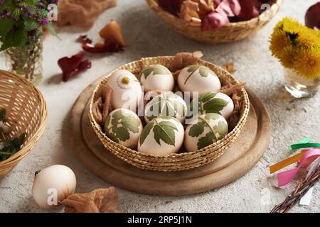 Weiße Ostereier mit frischen Blättern - Vorbereitung zum Färben mit Zwiebelschalen Stockfoto