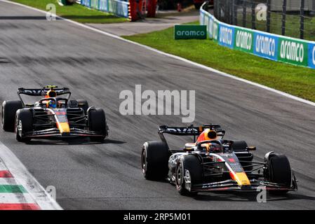 Monza, Italien. September 2023. Max Verstappen (NLD) Red Bull Racing RB19. Formel-1-Weltmeisterschaft, großer Preis von Italien, Renntag 15, Sonntag, 3. September 2023. Monza Italien. Quelle: James Moy/Alamy Live News Stockfoto