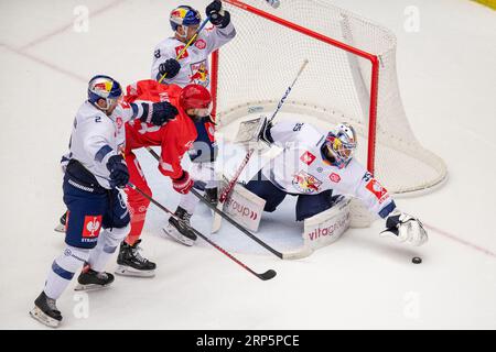 Trinec, Tschechische Republik. September 2023. L-R Andrew MacWilliam (München), Daniel Kurovsky (Trinec), Ryan McKiernan (München) und Torhüter Mathias Niederberger (München) in Aktion während der Champions Hockey League, Runde 2, gegen HC Ocelari Trinec (München), am 3. September 2023 in Trinec, Tschechische Republik. Quelle: Vladimir Prycek/CTK Photo/Alamy Live News Stockfoto