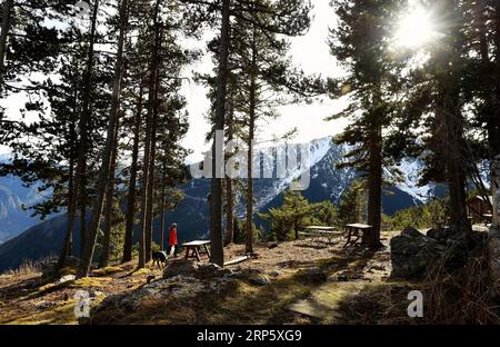 181226 -- ANDORRA, 26. Dezember 2018 Xinhua -- Eine Frau wandert im Wald auf einem Gipfel des Berges der Pyrenäen in der Nähe von La Massana, Andorra, 25. Dezember 2018. Xinhua/Guo Qiuda ANDORRA-PYRENÄEN-LANDSCHAFT PUBLICATIONxNOTxINxCHN Stockfoto