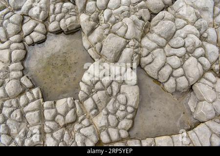 Diese Ebbe hat einen interessanten felsigen Meeresboden und zwei kleine Felsenbecken mit Meerwasser in sich enthüllt. Stockfoto