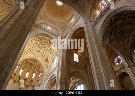 Dramatischer Blick auf die Kathedrale von Segovia, Spanien Stockfoto