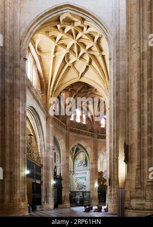 Innenansicht der Kathedrale von Segovia, Spanien Stockfoto