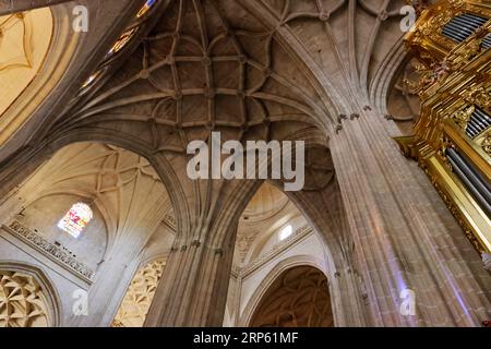 Dramatischer Blick auf die Kathedrale von Segovia, Spanien Stockfoto