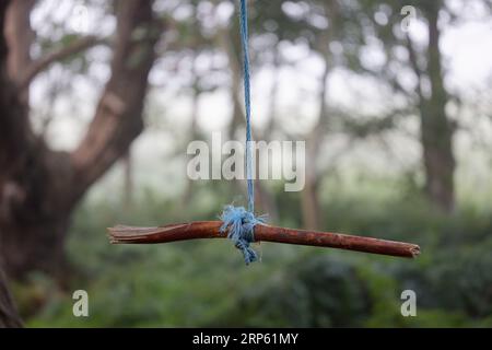 Ein Stück eines Zweiges, das mit einem blauen Seil an einen Baum gebunden wurde, um eine Schaukel zu bilden, auf der Kinder im Wald schwingen können Stockfoto