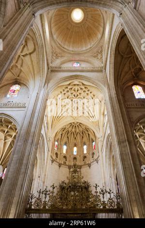 Dramatischer Blick auf die Kathedrale von Segovia, Spanien Stockfoto