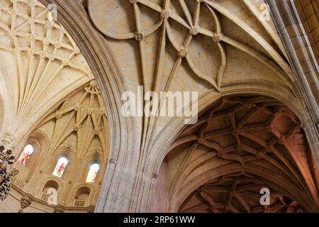 Dramatischer Blick auf die Kathedrale von Segovia, Spanien Stockfoto