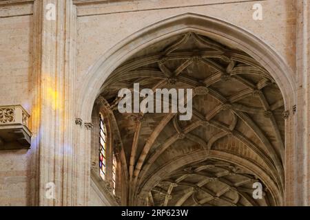 Dramatischer Blick auf die Kathedrale von Segovia, Spanien Stockfoto