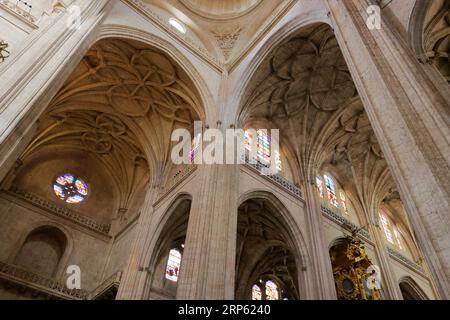 Dramatischer Blick auf die Kathedrale von Segovia, Spanien Stockfoto