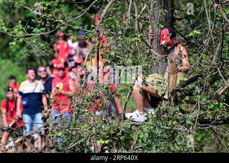 Monza, Italien. September 2023. Zuschauer, F1 Grand Prix of Italy beim Autodromo Nazionale Monza am 3. September 2023 in Monza, Italien. (Foto von HIGH TWO) Credit: dpa/Alamy Live News Stockfoto