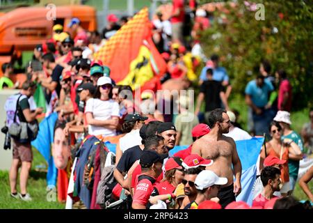 Monza, Italien. September 2023. Zuschauer, F1 Grand Prix of Italy beim Autodromo Nazionale Monza am 3. September 2023 in Monza, Italien. (Foto von HIGH TWO) Credit: dpa/Alamy Live News Stockfoto