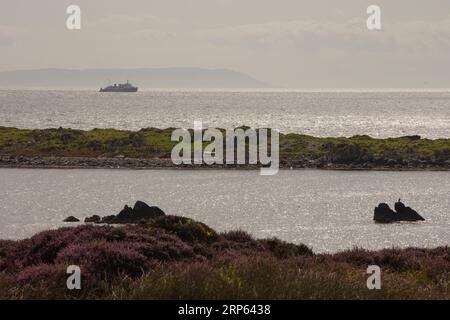 Die Fähre der Insel Arran legt in Port Ellen auf der Insel Islay in den Hebriden an. Stockfoto