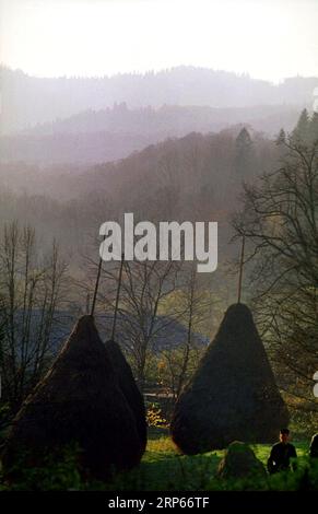 Neamt County, Rumänien, ca. 1998. Traditionelle Heuhaufen auf einem Berggrundstück. Stockfoto